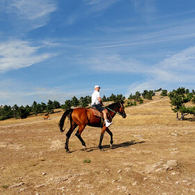 ����������?