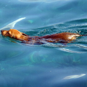 �� ��������.....