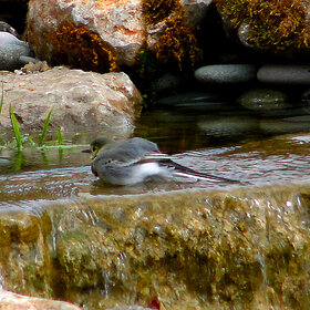 ������������ ��������