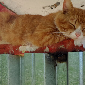 ���,������� ����� �� ���������