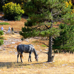 ������� � �����