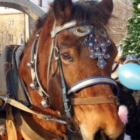 � �������� �������