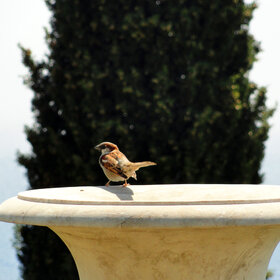 �������� ����������