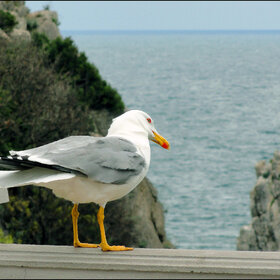 ������������