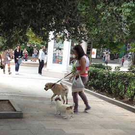 ����� ������������?......