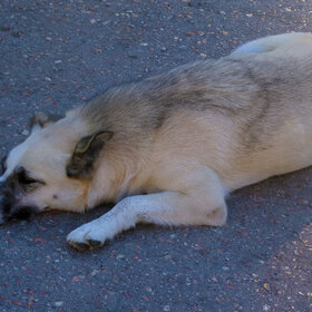 �������� ������