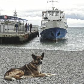 ��������