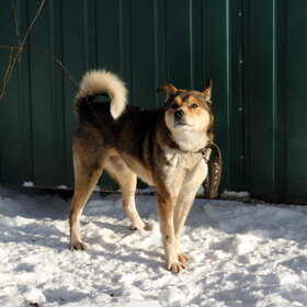 �������