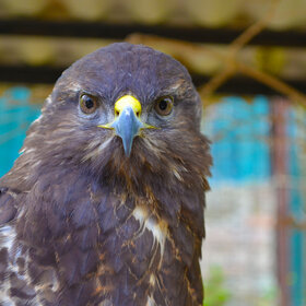 ����� � �����.....